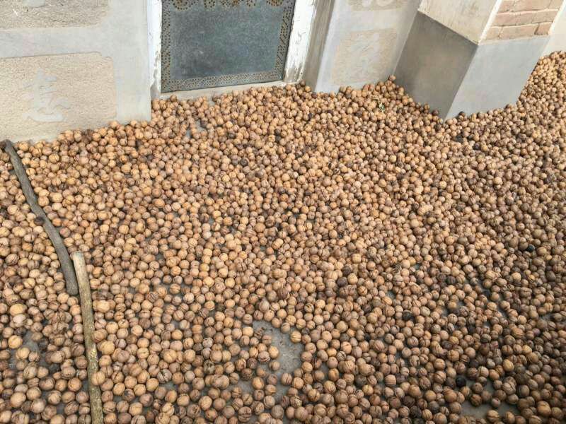 脱皮核桃30mm以上去皮