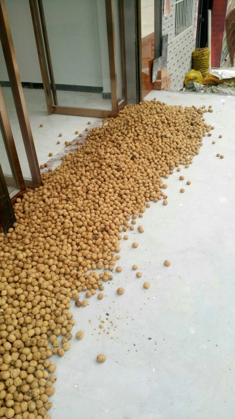 薄皮核桃30mm以上去皮