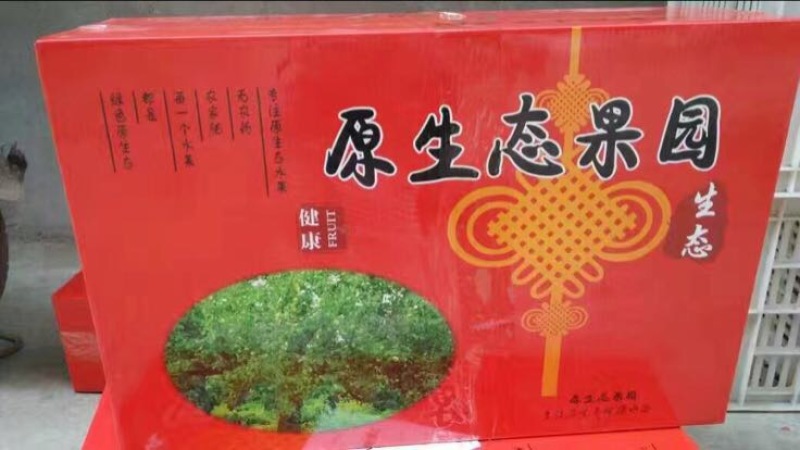 砀山梨