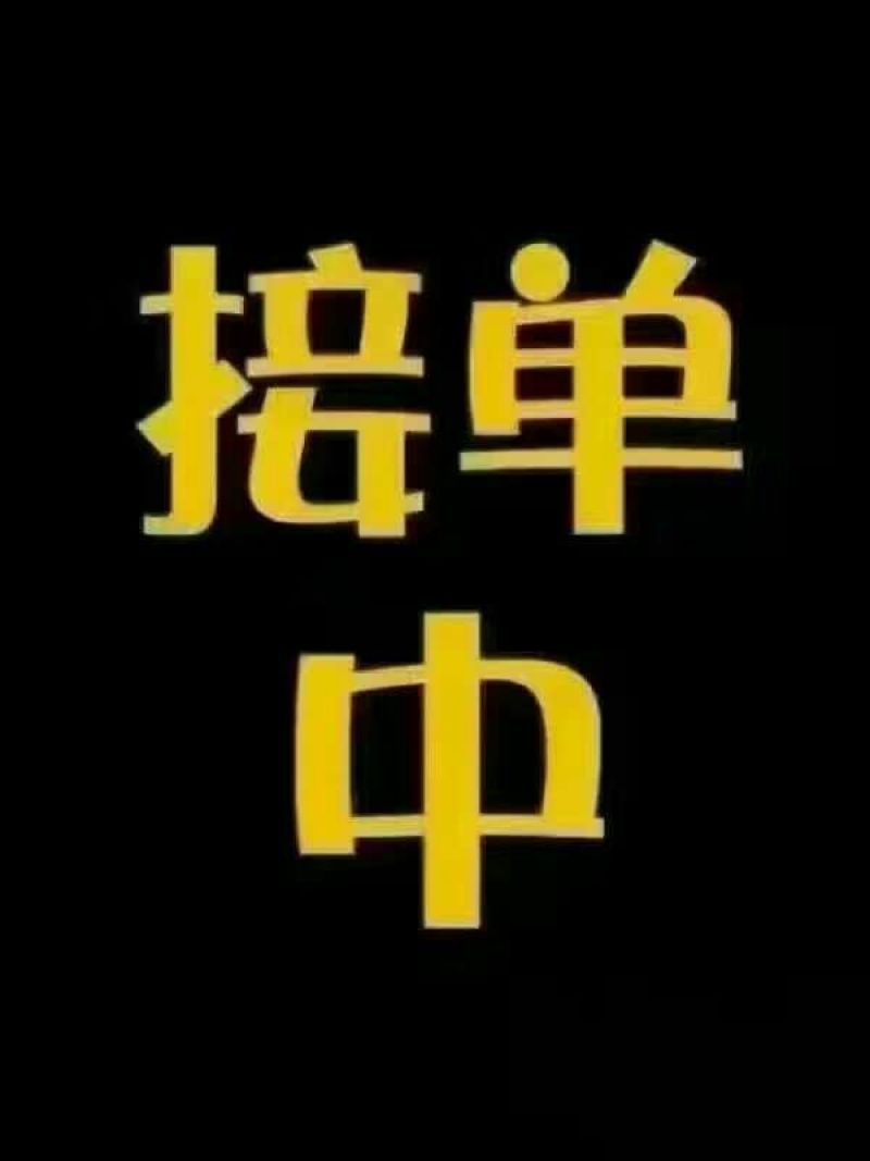 大叶女贞4cm以下