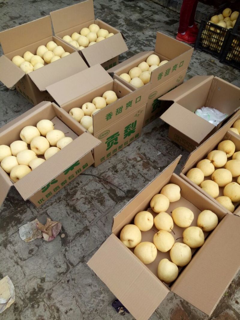 贡梨筐装200~250g