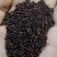 油菜籽1
