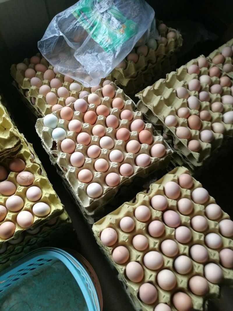 土鸡蛋食用50g以下