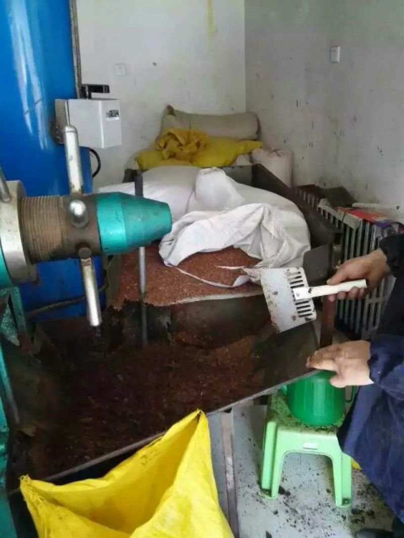 胡麻油