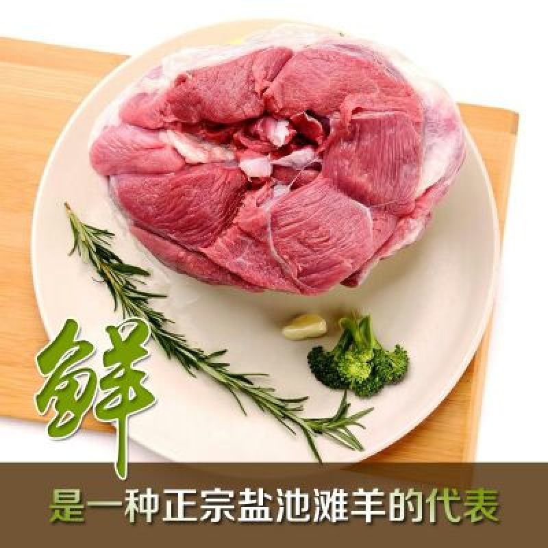 盐池滩羊羊排羊腿散养羊蝎子羊脖子盐池滩羊绵羊