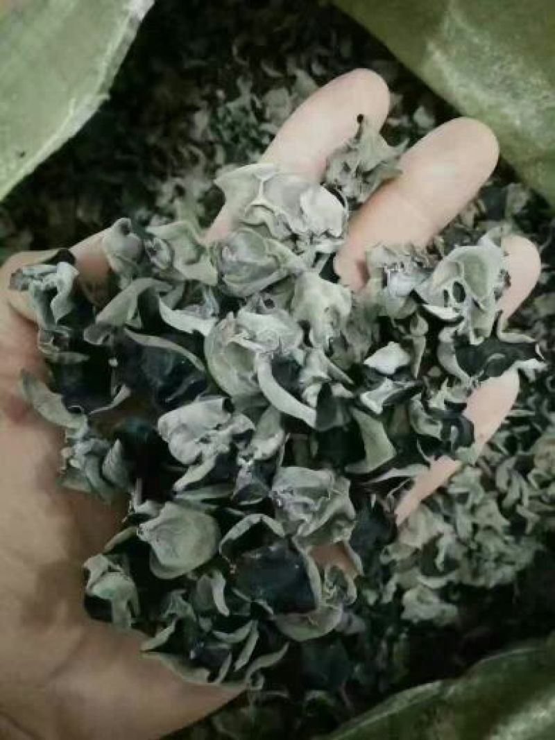 黑木耳一级