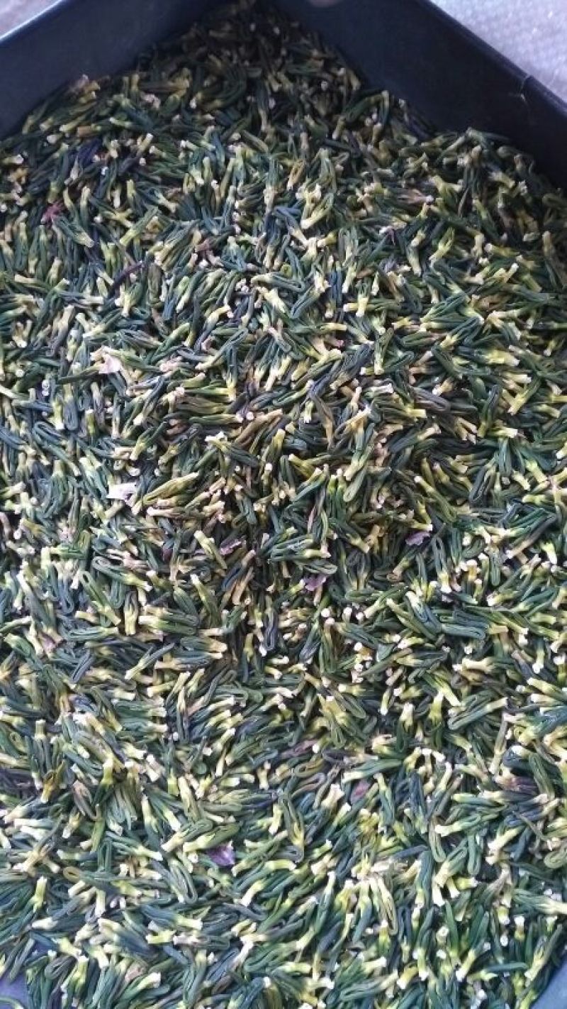 药用莲子心