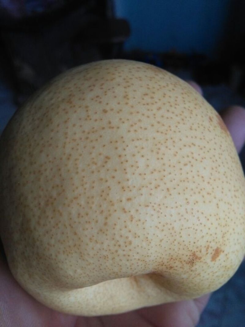 酥梨纸箱