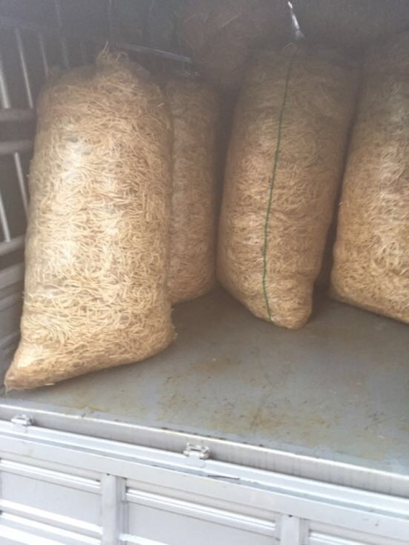 鱼腥草一手货源自产自销价格优惠