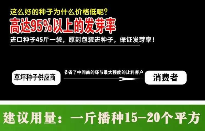 四季青草种12元1斤2斤包邮！