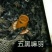 绿壳蛋鸡苗250克以下脱温苗