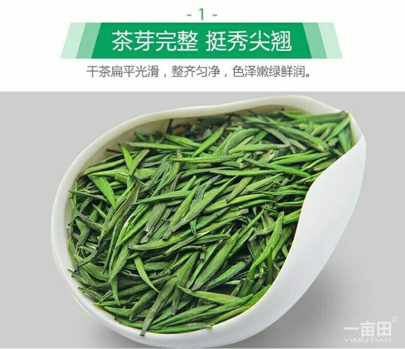 观音茶特级