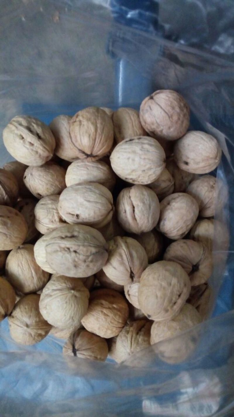 香玲核桃去皮干