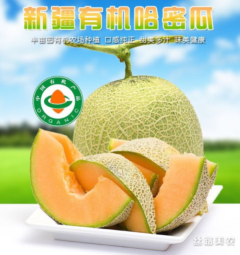 西州蜜瓜