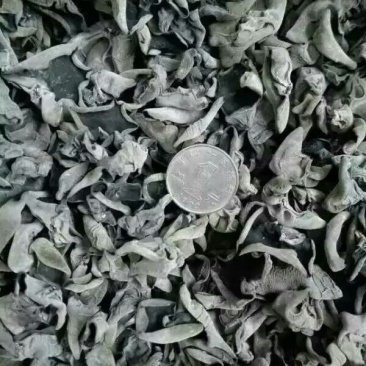 黑木耳特级