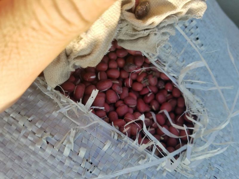 红小豆袋装