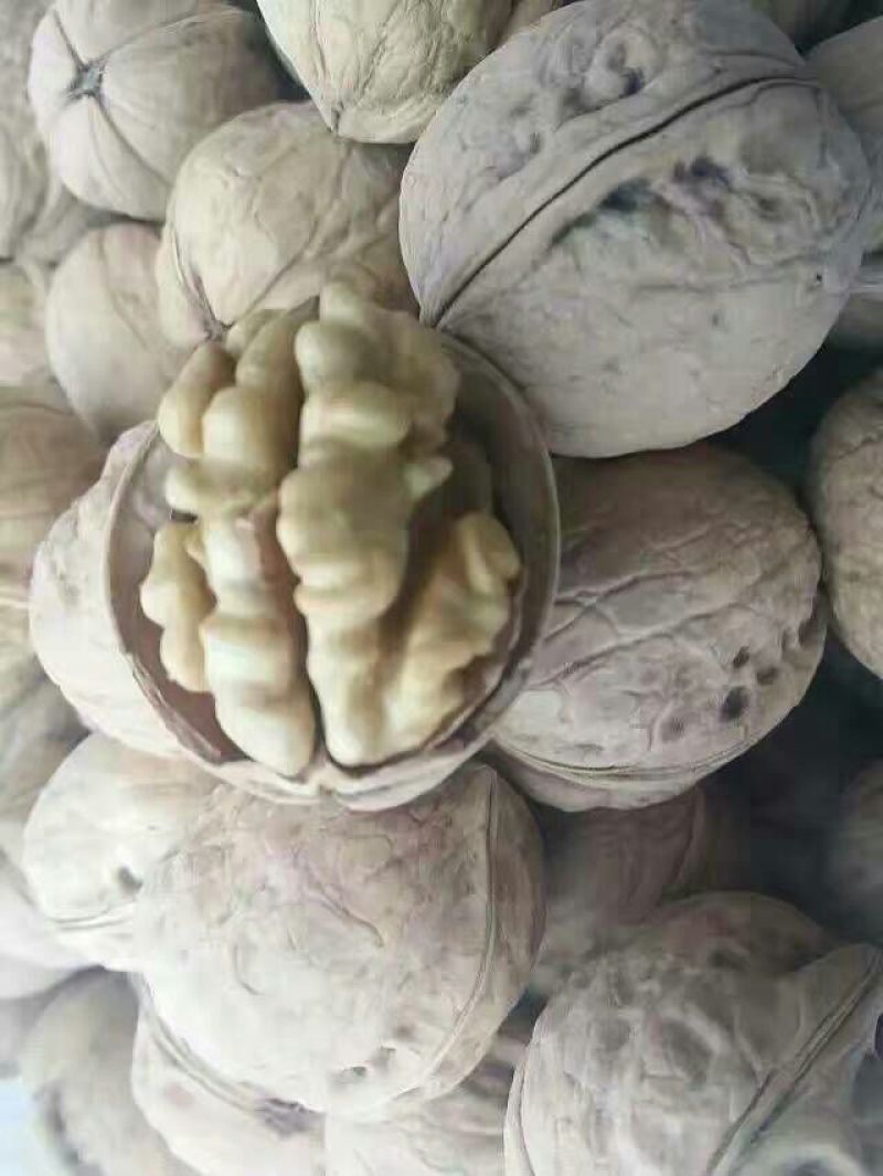 新疆185核桃去皮干