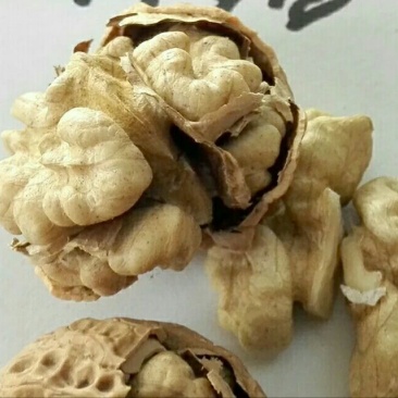 野生核桃30mm以上去皮干