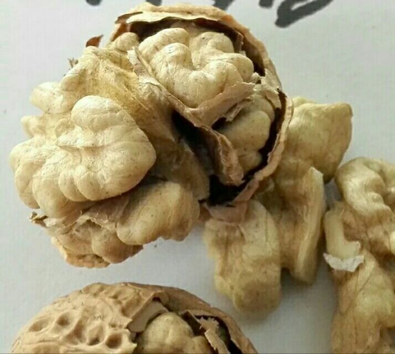 野生核桃30mm以上去皮干
