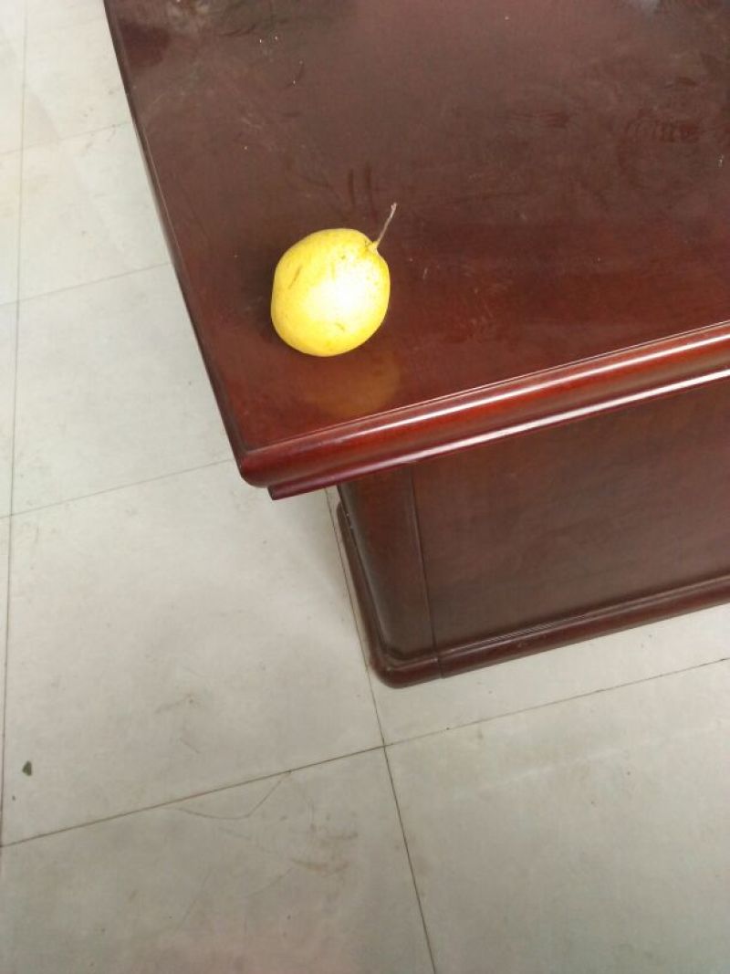 皇冠梨600g以上纸箱