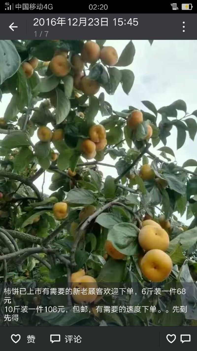 柿饼2~2.5两