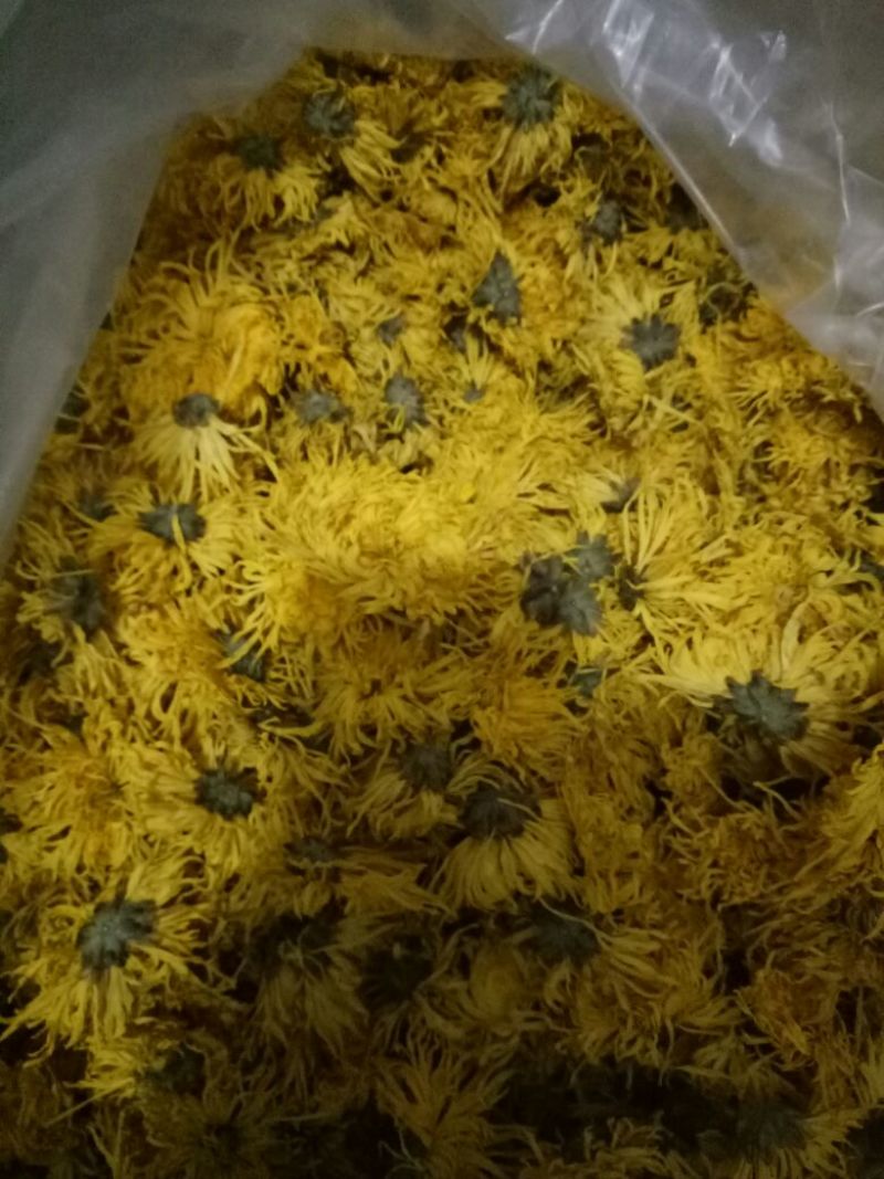 菊花茶