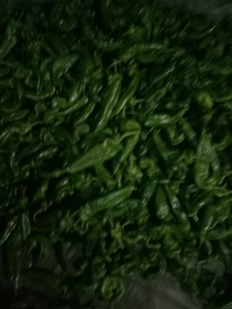 301辣椒2~5厘米青