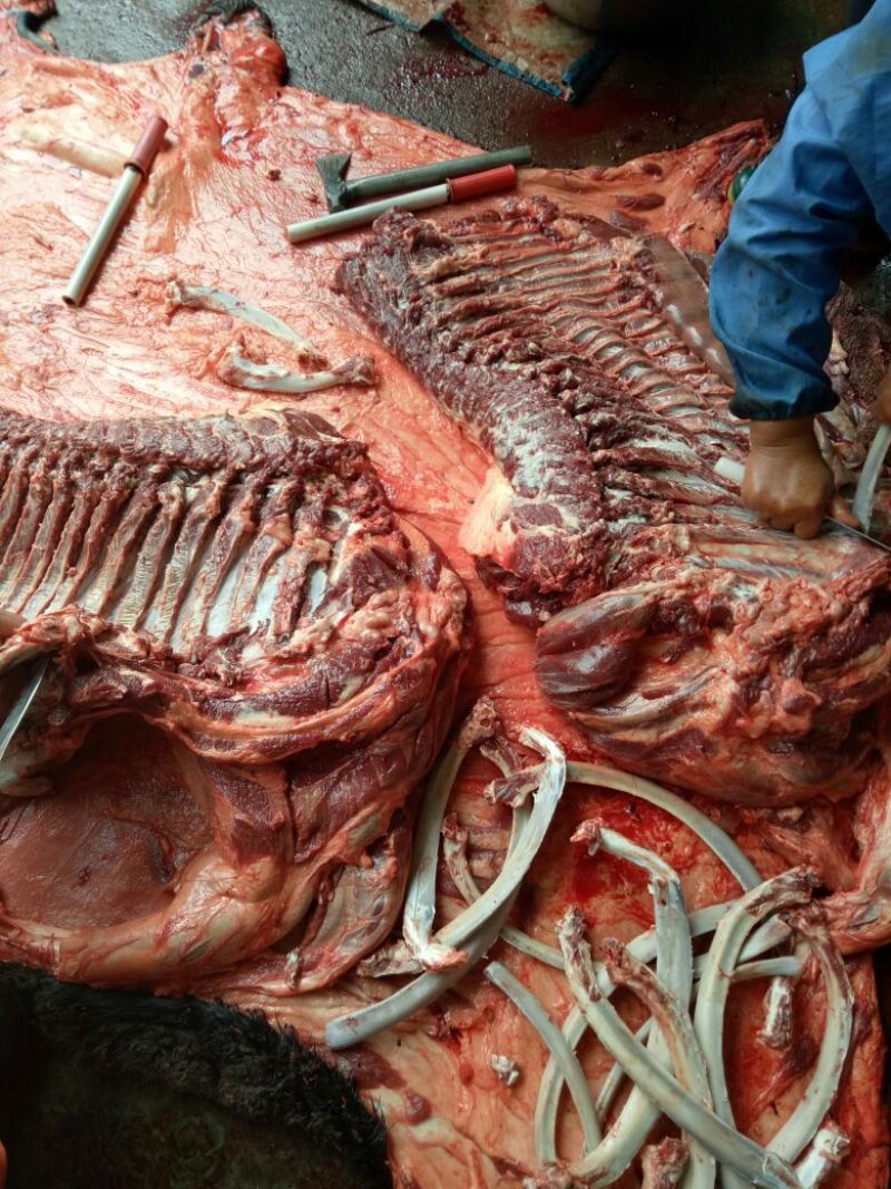 驴肉鲜货