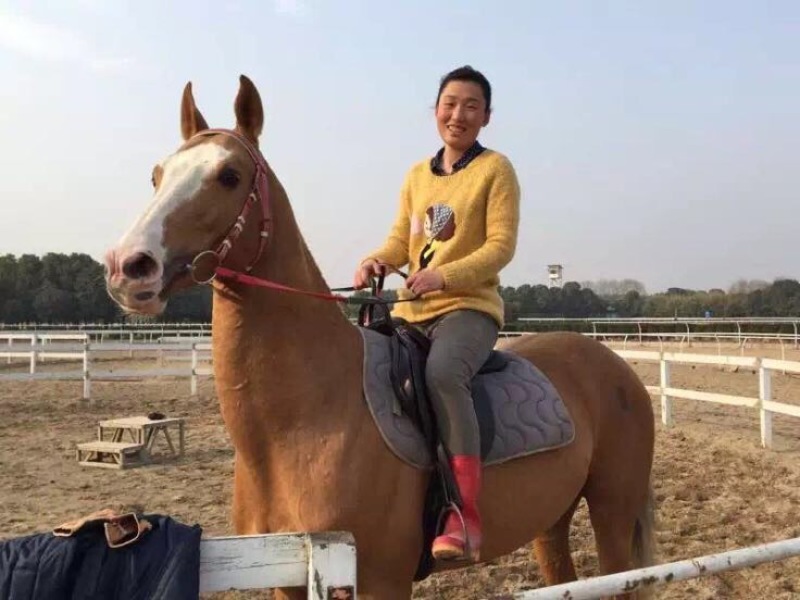 半血马400~500kg