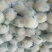 白花菜花1斤紧密乳白