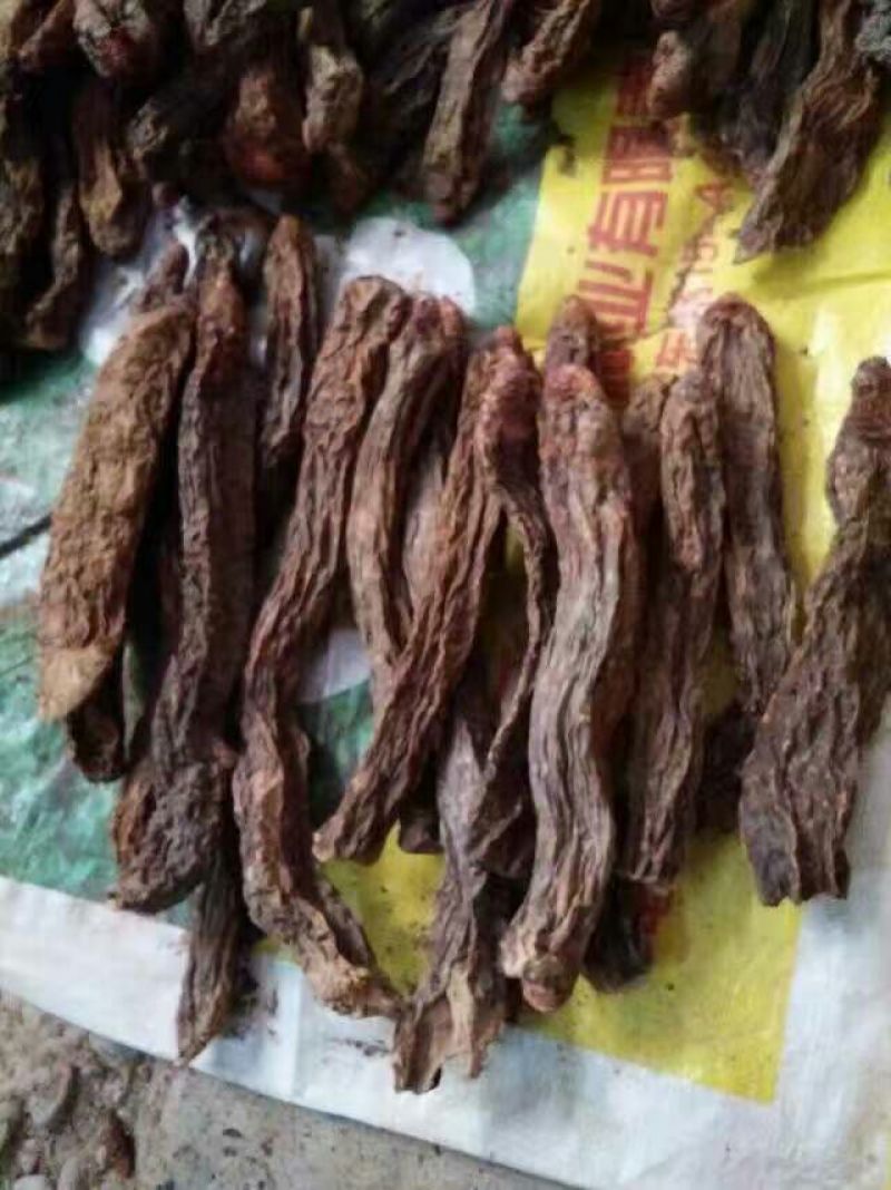 锁阳统货