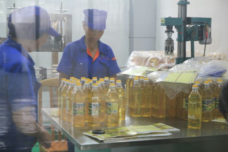 非转基因菜籽油四级