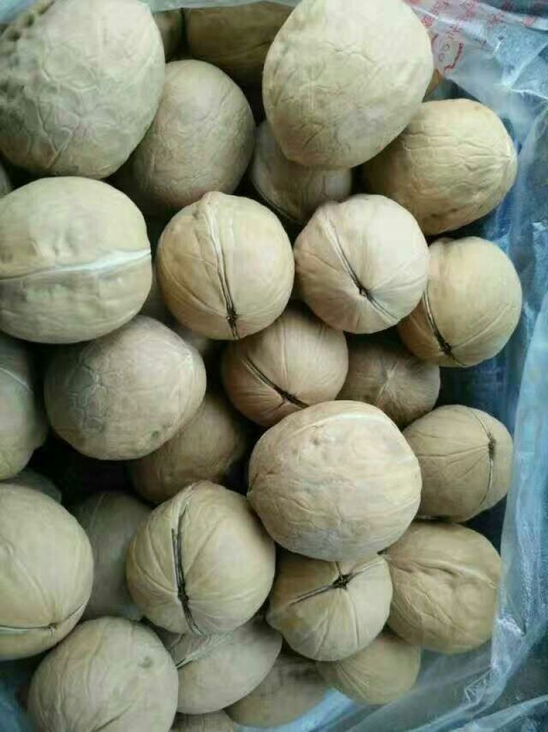 新疆185核桃去皮