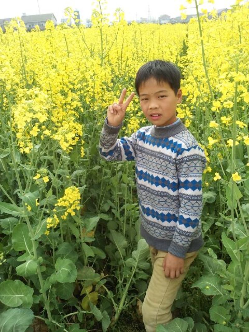 菜油一级