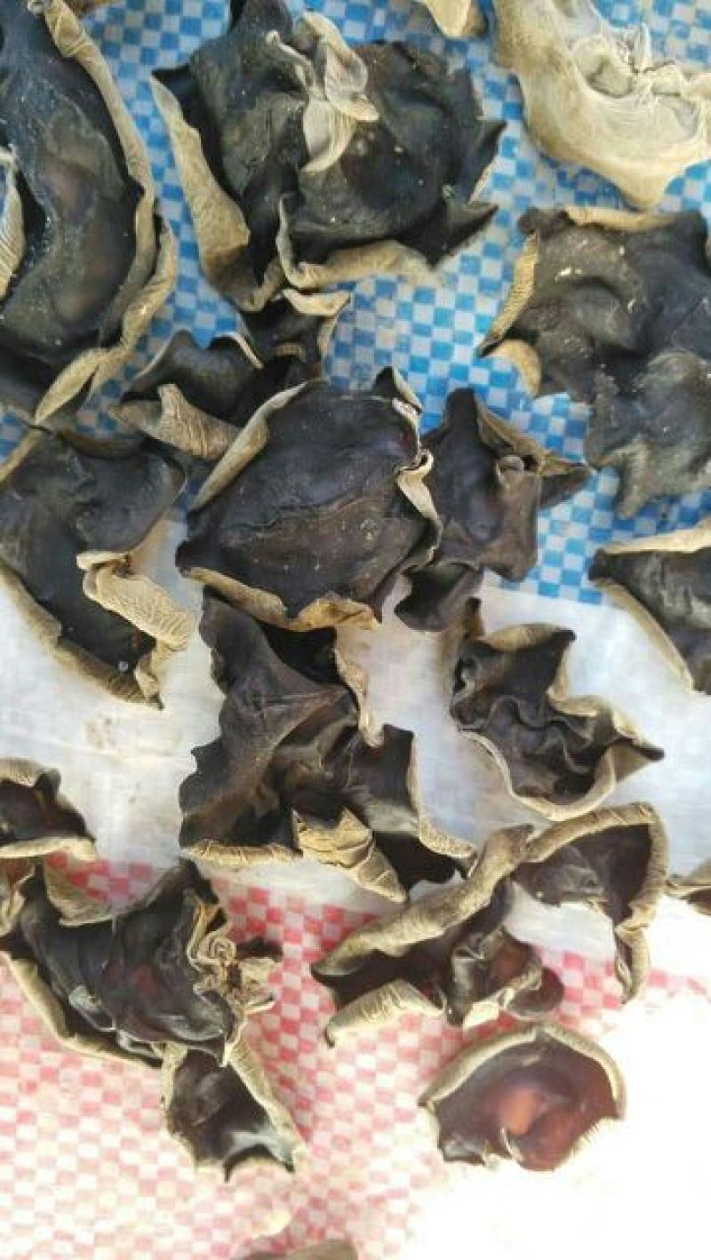 干木耳特级