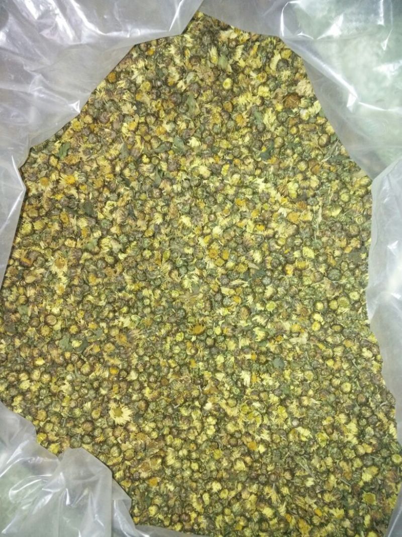 杭州白菊袋装