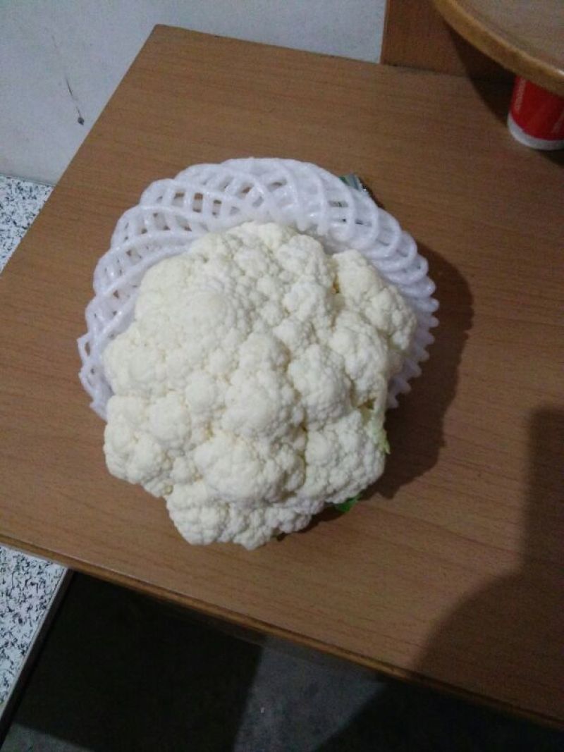 白花菜散装
