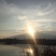 池鲤鱼