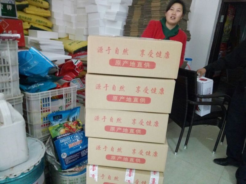 临潼石榴12只装，快递专用箱。