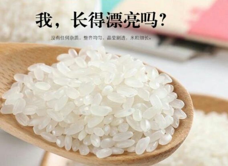 大米新米一级