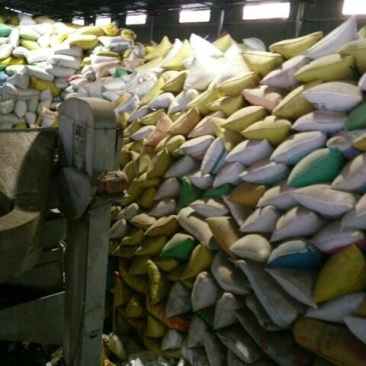 湖北精选定包优质油菜籽优质食用油原料高含油