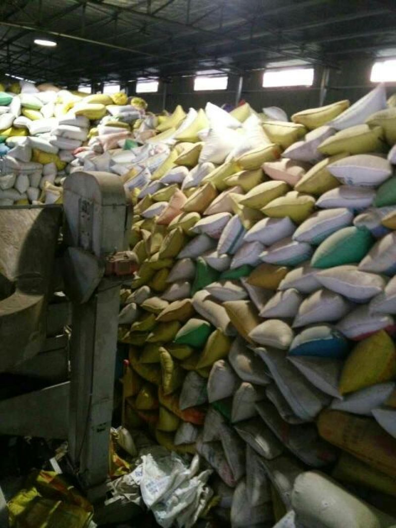 湖北精选定包优质油菜籽优质食用油原料高含油