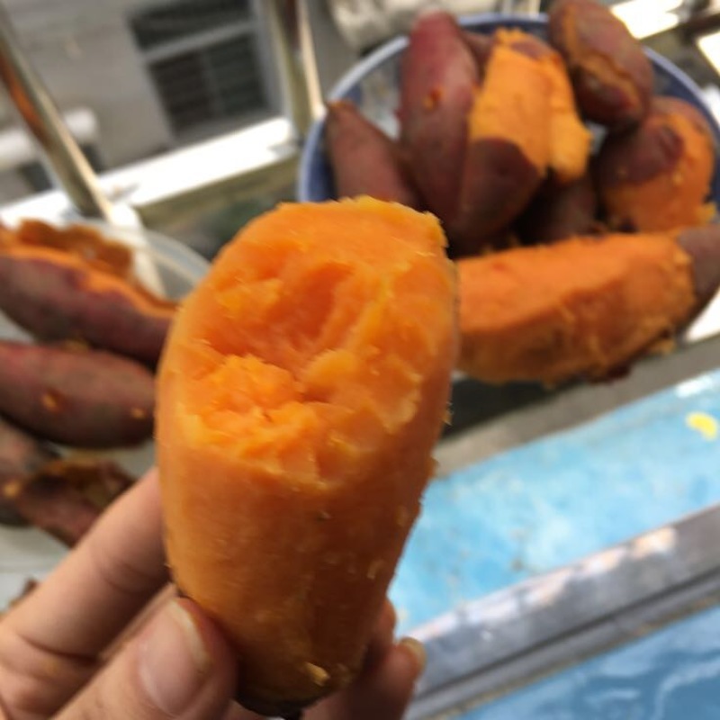 红薯