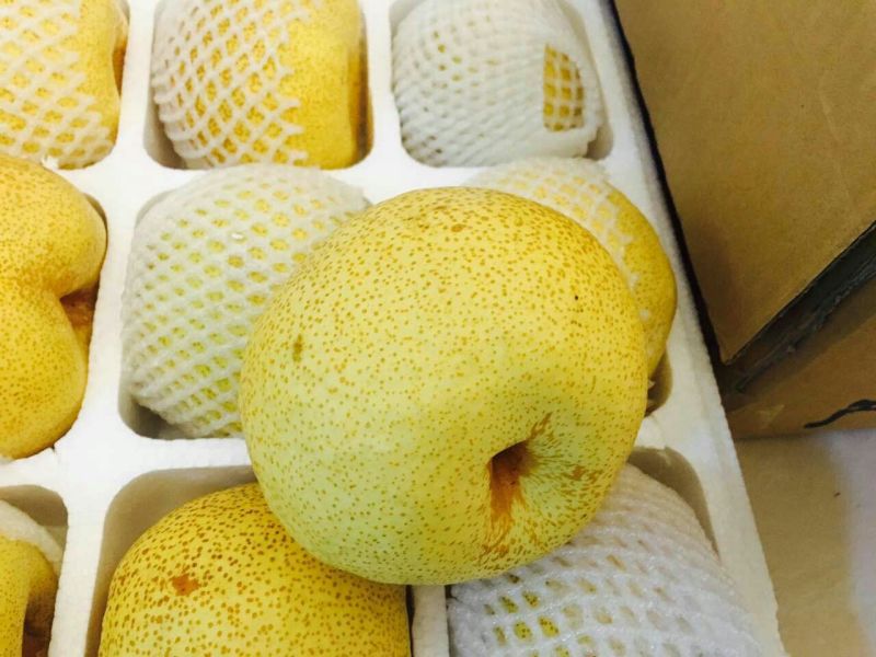 砀山梨350~400g纸箱
