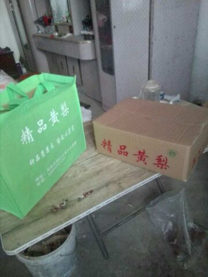 晚秋黄梨600g以上纸箱