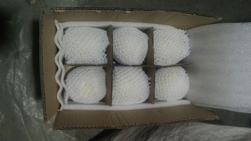 酥梨300~350g纸箱