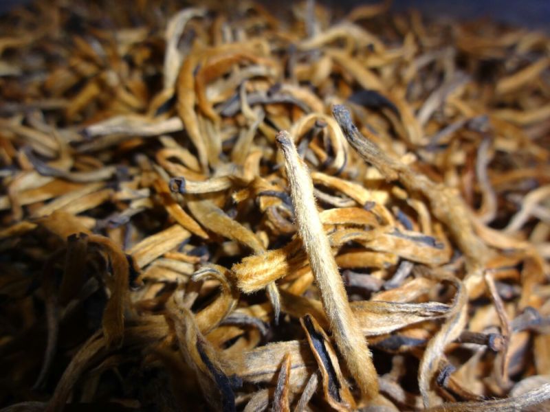 百年大树茶特级