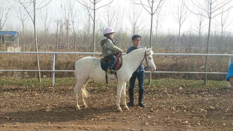 肉马