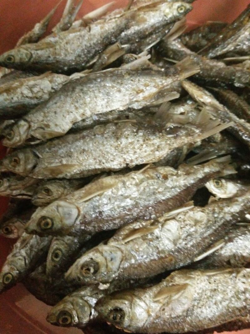 鱼干炸鱼干