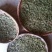 普洱绿茶